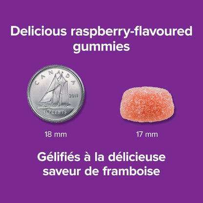 Webber Naturals Magnesium Gummy 75 mg, 75 Raspberry Flavoured Gummies, Supports Bone and Muscle Functions, Vegan